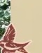 Golondrina artesanal derecha